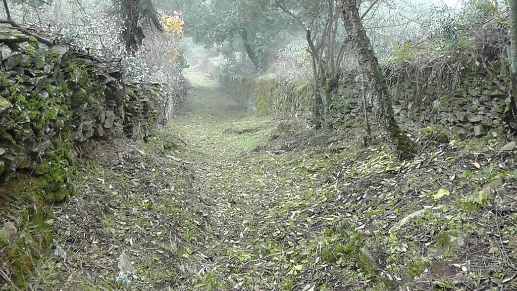 Los Montes ξενώνας Casas de Miravete Εξωτερικό φωτογραφία