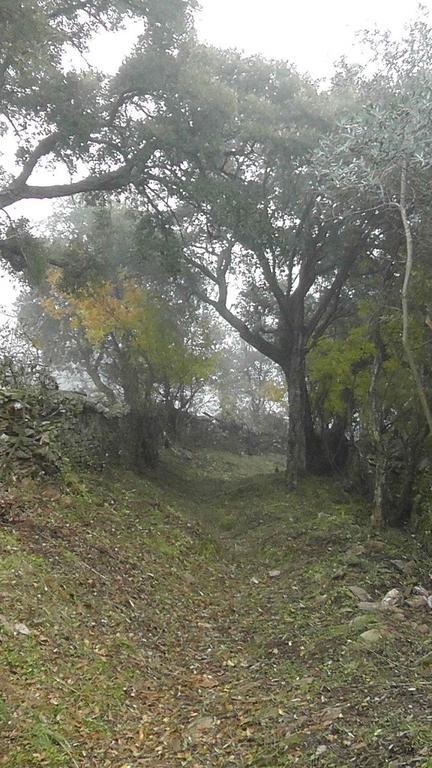 Los Montes ξενώνας Casas de Miravete Εξωτερικό φωτογραφία